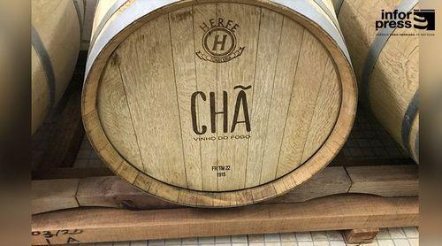 Fogo: Chã das Caldeiras Winery prepares launch of sparkling wine and fortified wine on the market
