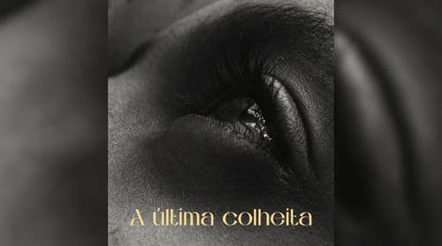 “A Última Colheita” do realizador Nuno Boaventura Miranda integra Festival Internacional de Cinema em Luanda