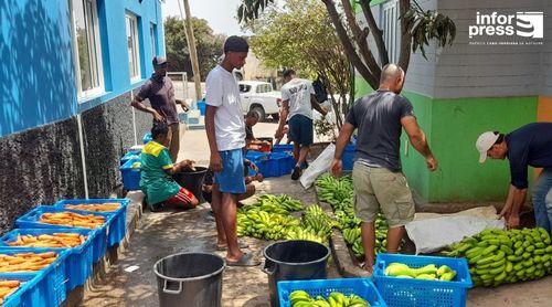 Porto Novo: Agricultores mobilizam-se no apoio às famílias em São Vicente com produtos frescos