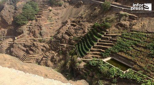 Porto Novo: Agricultores acreditam que 2025 pode ser ano de mobilização de água para agricultura neste município 