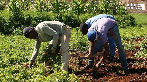 Government launches VI General Agricultural Census 2025 with a multidisciplinary team