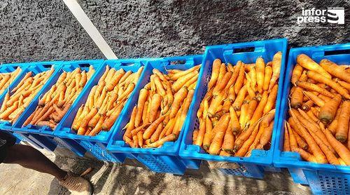 Santo Antão: Aliança dos produtores agrícolas estende apoios ao município do Porto Novo