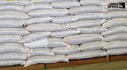 Preços do trigo e arroz em baixa, enquanto óleo de soja, açúcar e milho sobem no mercado internacional