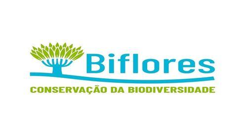 Brava: Associação Biflores na fase final de projecto de reestruturação do sector da pecuária