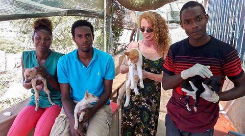 Praia: Adoção de animais cresce na capital e lista de espera ultrapassa as 50 pessoas -Associação Bons Amigos