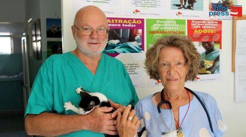 Maio: l’Association Joaninha comptabilise plus de 10 mille déparasitage de chiens et chats en 2025