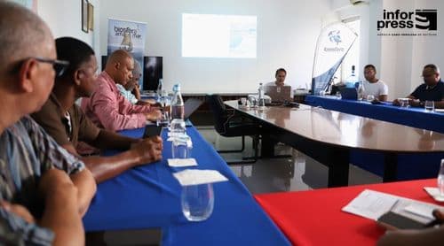 São Vicente: Biosfera confirma "impacto significativo" dos acordos de pesca na pesca artesanal