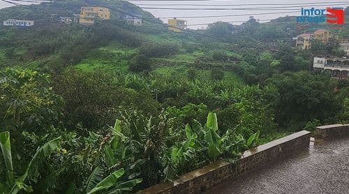 Brava: Últimas chuvas renovam esperança dos agricultores e garantem pasto para criadores