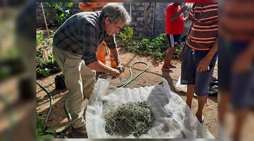 Santo Antão: CIRAWA lança campanha “Embaixadores da agroecologia” para mobilizar agricultores para práticas agroecológicas 