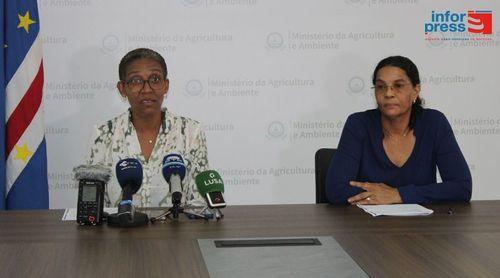 MAA tem em curso conjunto de acções para campanha agrícola de sequeiro orçado em cerca de 44,5 milhões de escudos