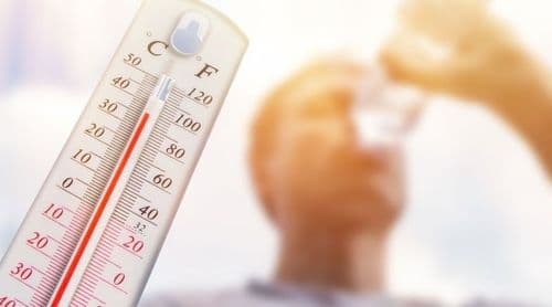 Onda de calor na Europa matou 1.300 pessoas desde 21 de Junho - OMS