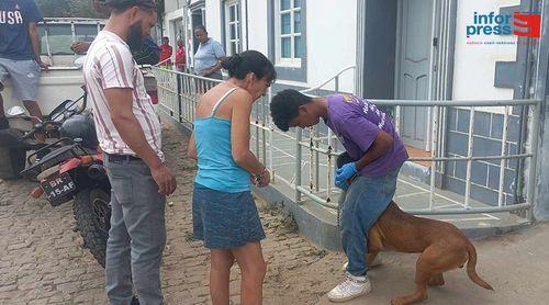 Brava: Associação CoVets inicia campanha de castração e desparasitação da população canina (CORRIGIDO)