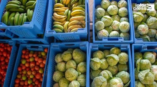 Santo Antão: Experiência no fornecimento às cantinas escolares apresentada no Fórum Internacional sobre Compras Públicas Alimentares