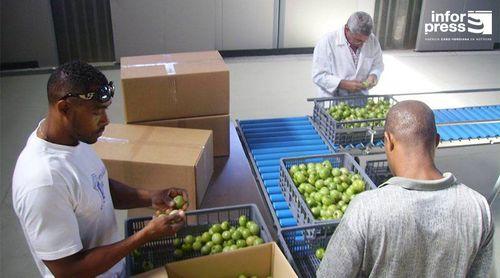 Porto Novo : le ministère de l’Agriculture réaffirme la reconversion de l’ancien centre de fumigation