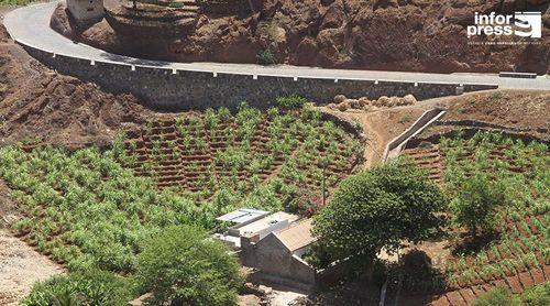 Porto Novo/Santo André: Agricultores apontam mobilização de água como “um dos grandes desafios” do sector