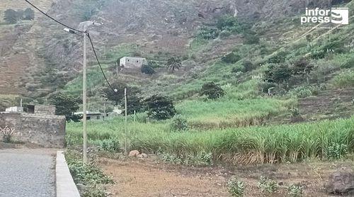 Porto Novo/Chã de Branquinho: Edil aponta solução do problema de água no quadro da recuperação da barragem subterrânea