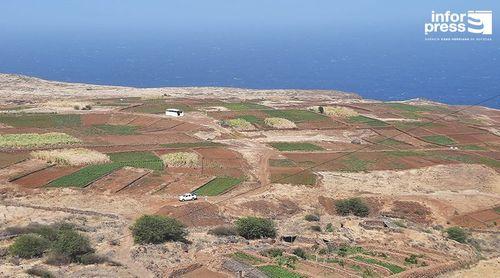 Porto Novo/Chã de Norte: Agricultores voltam a apontar escassez de água e estrada como principais desafios para agricultura local 