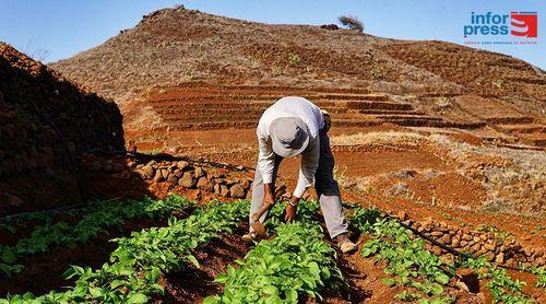 Porto Novo/Chã de Norte: Agricultores regozijam-se com decisão de executar mais um furo