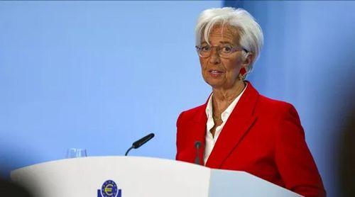 "Preservar o oceano é um bom investimento"