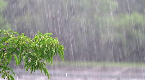 Estado do Tempo: Nova onda tropical traz chuva e vento forte nas próximas 48 horas