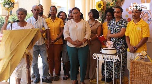 Colmeia celebra 11 anos a lutar pela inclusão de crianças e jovens com deficiência