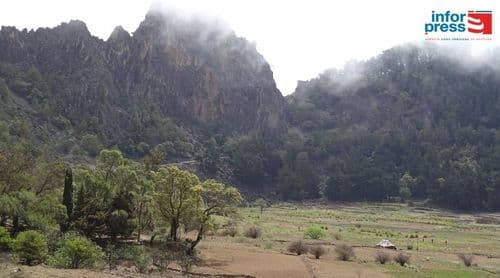   Porto Novo: Amupal esperançada no projecto de produção de vinho no Planalto Leste