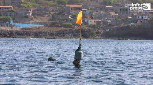 Santa Catarina: Pescadores de Rincão enaltecem benefícios do DCP na aproximação dos cardumes à costa