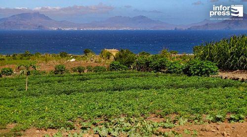 Porto Novo: Líder associativo destaca papel do projecto agrícola no retorno dos jovens a Casa de Meio
