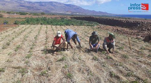 Porto Novo/Dia Mundial da Agricultura: Mobilização de água constitui um dos maiores desafios – agricultores    