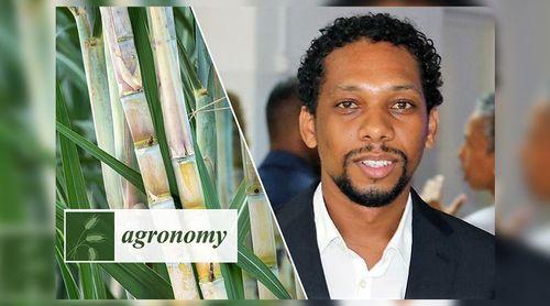 Agricultura irrigada em Cabo Verde enfrenta desafio da escassez de água e da monocultura da cana-de-açúcar