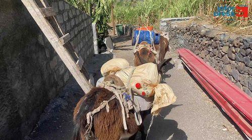 Porto Novo: Agricultores de Dominguinhas querem que Governo agilize processo de construção da estrada de acesso
