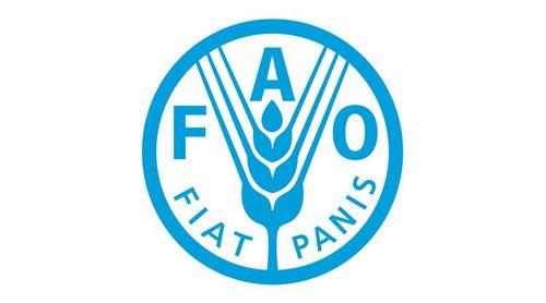 FAO vai doar acervo bibliográfico com cinco mil peças à Uni-CV