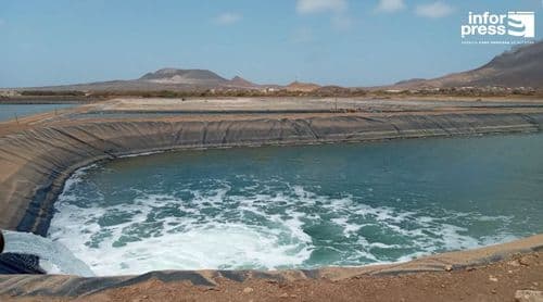 São Vicente: Fazenda de Camarão Operating on Just 40% of Its Area Since Storm Erin – Administrator