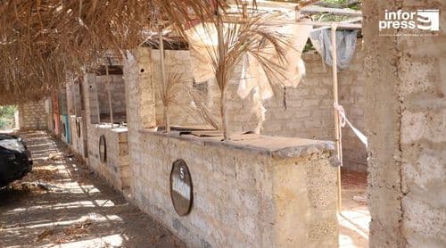 São Vicente: l’Association de Ribeira de Vinha reconnaît des difficultés à relancer la foire agro-pastorale