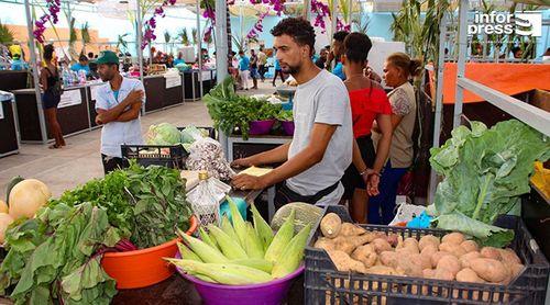 Porto Novo: Feira agropecuária de Ponte Sul/Chã de Mato tem contribuído para alavancar setor agrícola – MAA