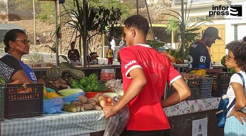 Porto Novo/São João: Expositores dão nota de excelência à feira agropecuária de Santo Antão       