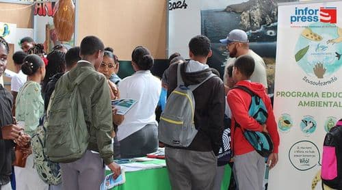 Brava: EST realiza feira de profissões para consciencializar os alunos na escolha das profissões