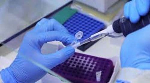 ENTREVISTA: Fiocruz vai assinar acordo para desenvolver indústria farmacêutica africana 