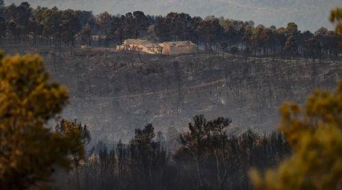 Governo espanhol diz que fogos já queimaram 35.400 hectares de terrenos agrícolas