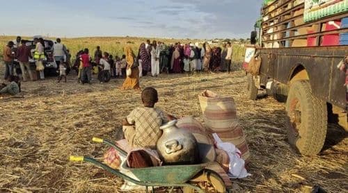 Ajuda ao Desenvolvimento deve cair este ano 6,9% e 11,6% na África subsaariana