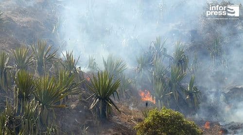 Fogo: Santa Catarina executa acções financiadas pelo FNE para apoiar afectados por incêndio e aguarda projectos turísticos