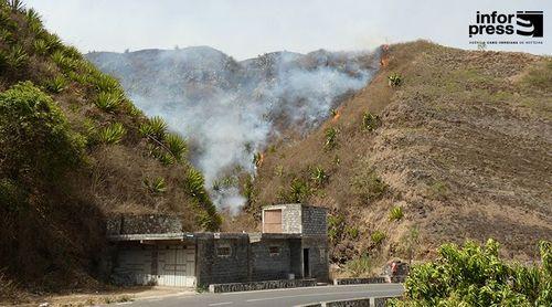 Fogo: Incêndio em Campanas de Baixo consome sete hectares de terreno agrícola e de pastagem – delegado MAA