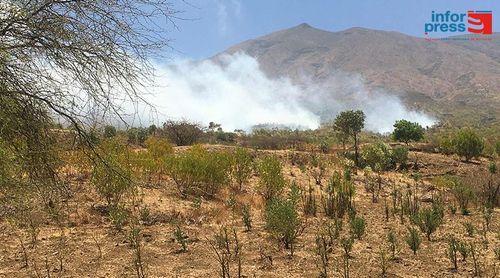 Fogo: Incêndio consumiu 27 hectares de área reflorestada na zona de amortecimento do Parque Natural do Fogo