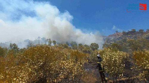 Fogo: Bombeiros municipais combatem duas frentes de incêndio activo na encosta da Serra