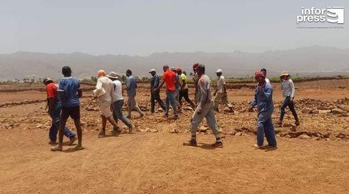 Porto Novo: Ministério da Agricultura e Ambiente prepara entrega de parcelas agrícolas do projecto Gamboeza