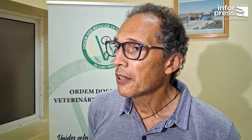Fogo: Ordem dos Médicos Veterinários vai elaborar relatório sobre problemas relacionados com bem-estar dos equinos 