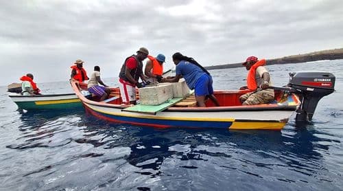 Santa Catarina: Lantuna e IMar instalam dispositivo para aumentar capturas e reduzir esforço da pesca em Porto Rincão