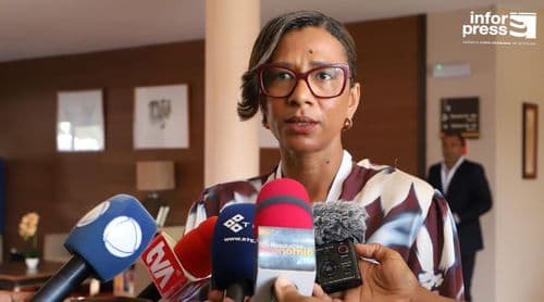 Leonilde Santos aponta consolidação da presença internacional da ARME na transição de reguladores 