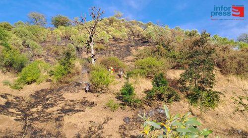 Santa Catarina: Responsável apela à união de todas as forças vivas na sensibilização contra queimadas e combate a incêndios (c/áudio)