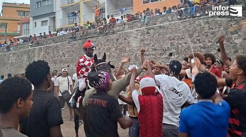 Paul/Festas de Santo António: Égua Marisia regressa às pistas e reconquista título na corrida de cavalos